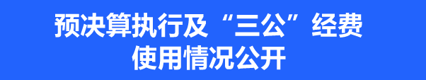 三公經費.png